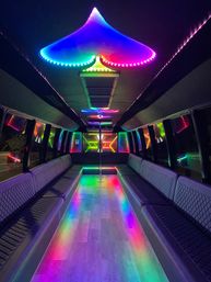 Private Party Bus Charter with BYOB Bar Area & Optional Drink Packages (Up to 40 Passengers) image 5
