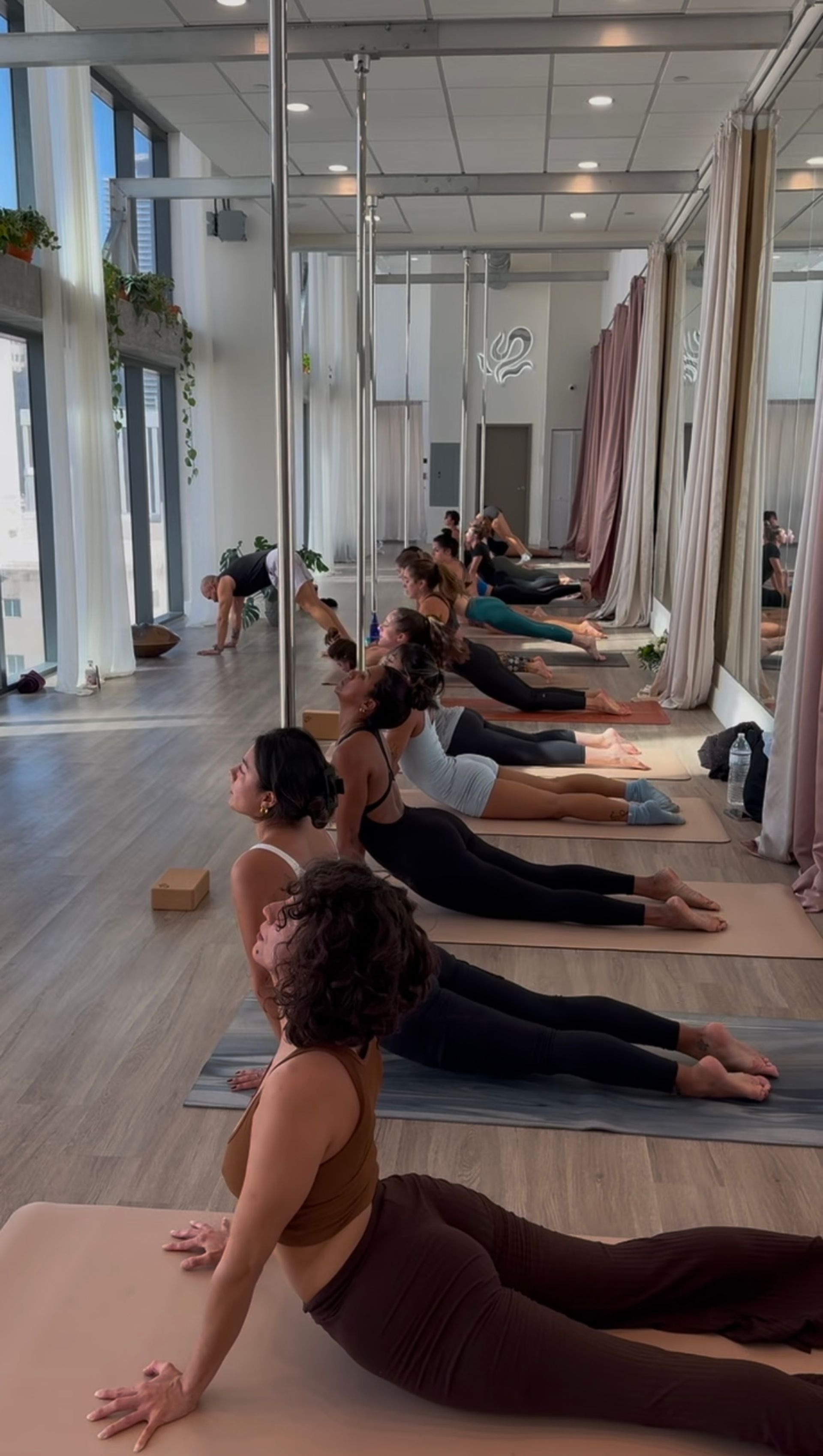 Flow & Glow: Private Yoga Party at Silver Garden Pole & Yoga Studio image 1