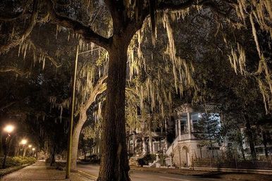 Spirit with Spirits Bar Crawl: Discover Savannah’s Historic and Haunted Past image 12