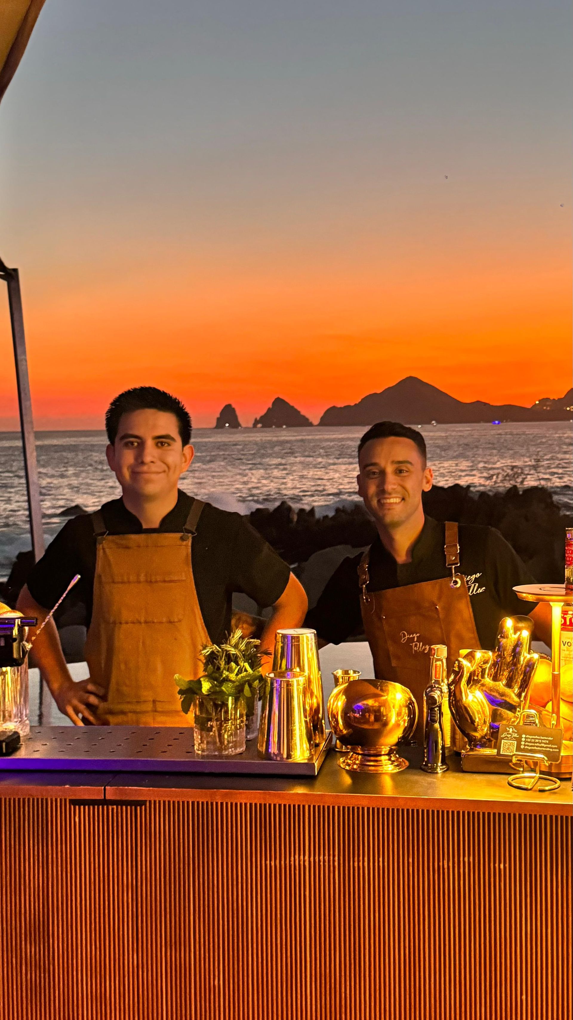 Private Chef & Bartender Experience in Los Cabos: Villa Dining, Mixology or Cooking Classes & Agave Tastings image 1