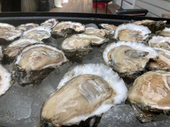 New Orleans Classic Raw or Grilled Oyster Bar Experience with Caviar (BYOB) image