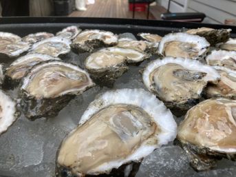 New Orleans Classic Raw or Grilled Oyster Bar Experience with Caviar (BYOB) image 1