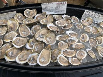 New Orleans Classic Raw or Grilled Oyster Bar Experience with Caviar (BYOB) image 3