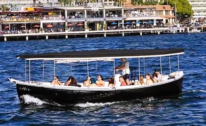 San Diego Bayside Bar Hopping + Dock & Dine Tours in a Fun Limo Boat (BYOB) image 1