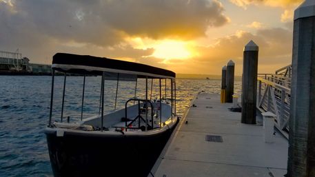 San Diego Bayside Bar Hopping + Dock & Dine Tours in a Fun Limo Boat (BYOB) image 3