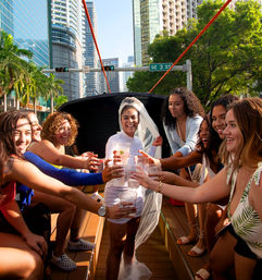 Rumbachiva Party Bus: BYOB Private Miami Sightseeing Party Tour with Onboard Host  image 19