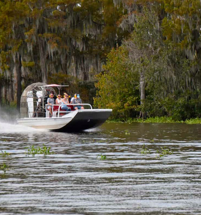 Louisiana Swamp Tours: Explore the Beauty of the Bayous in Gator Country on an Airboat Tour image 3