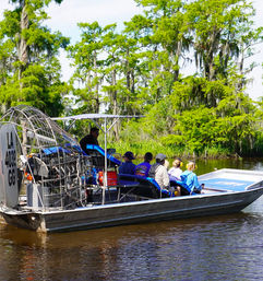 Louisiana Swamp Tours: Explore the Beauty of the Bayous in Gator Country on an Airboat Tour image 8