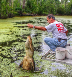 Louisiana Swamp Tours: Explore the Beauty of the Bayous in Gator Country on an Airboat Tour image 5