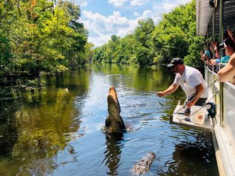 Louisiana Swamp Tours: Explore the Beauty of the Bayous in Gator Country on an Airboat Tour image 2