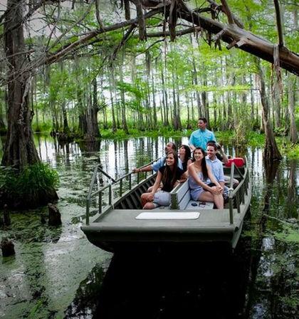 Louisiana Swamp Tours: Explore the Beauty of the Bayous in Gator Country on an Airboat Tour image 6