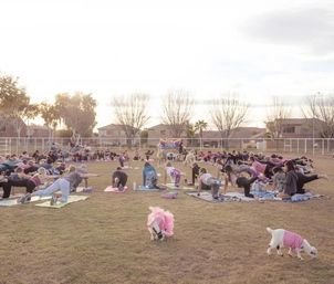 Arizona Goat Yoga: The Original Home of Goat Yoga image 3