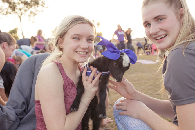Arizona Goat Yoga: The Original Home of Goat Yoga image 41
