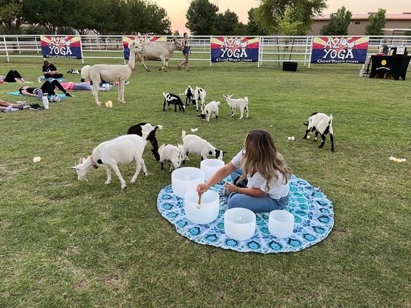 Arizona Goat Yoga: The Original Home of Goat Yoga image 19