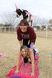 Arizona Goat Yoga: The Original Home of Goat Yoga image 38