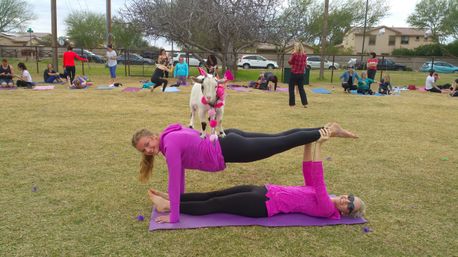 Arizona Goat Yoga: The Original Home of Goat Yoga image 8