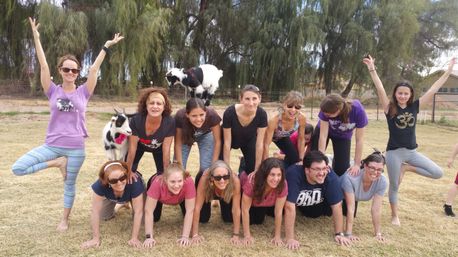 Arizona Goat Yoga: The Original Home of Goat Yoga image 7
