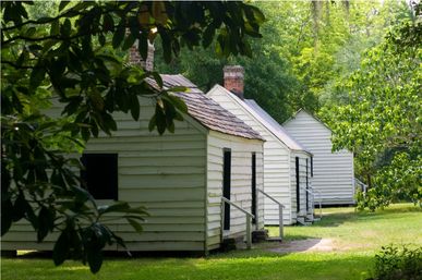 Magnolia Plantation Tour image 4