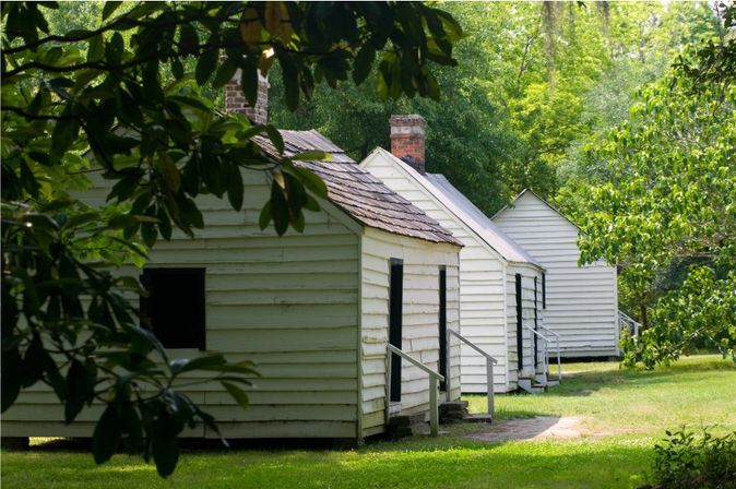 Magnolia Plantation Tour image 4