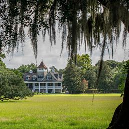 Magnolia Plantation Tour image 2