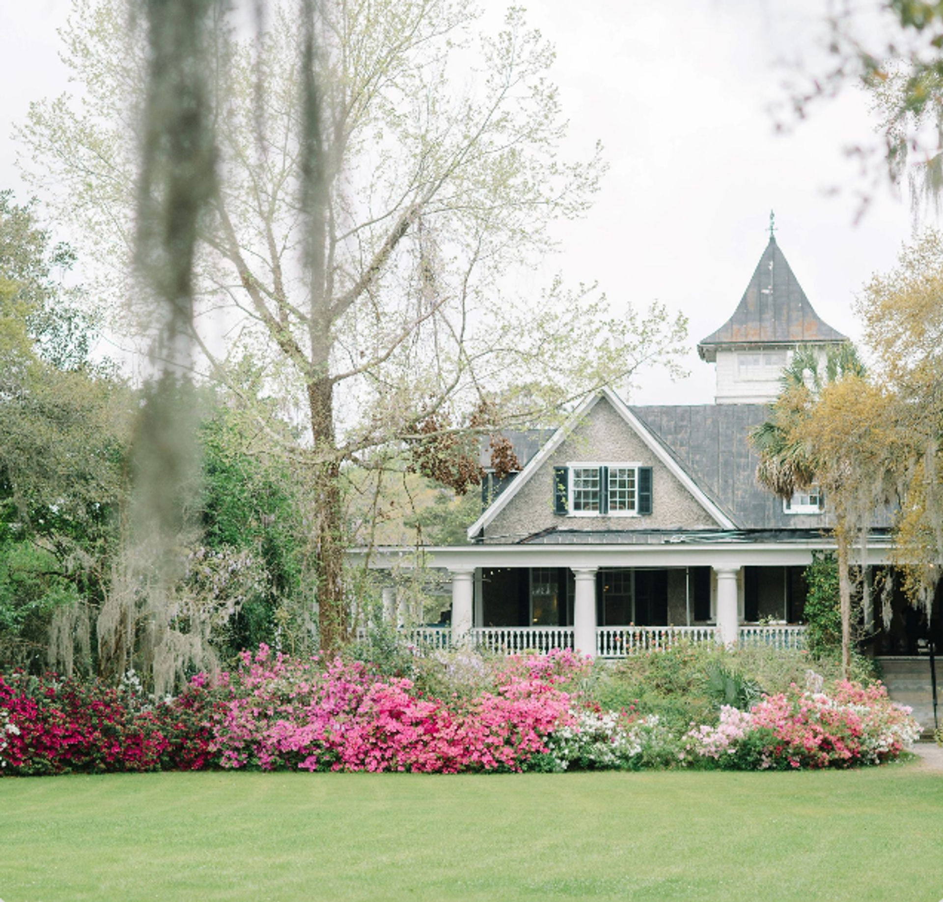 Magnolia Plantation Tour image 1
