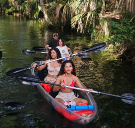 Manatees & Monkeys: Clear Kayak or Paddleboard Tour at Silver Springs image 9
