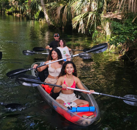 Manatees & Monkeys: Clear Kayak or Paddleboard Tour at Silver Springs image 9