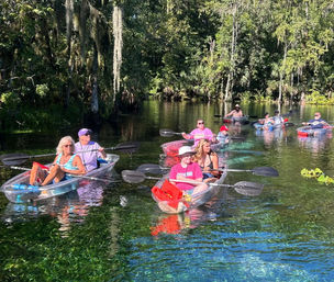 Manatees & Monkeys: Clear Kayak or Paddleboard Tour at Silver Springs image 5