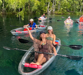 Manatees & Monkeys: Clear Kayak or Paddleboard Tour at Silver Springs image 2