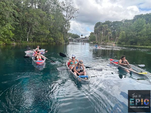 Manatees & Monkeys: Clear Kayak or Paddleboard Tour at Silver Springs image 12