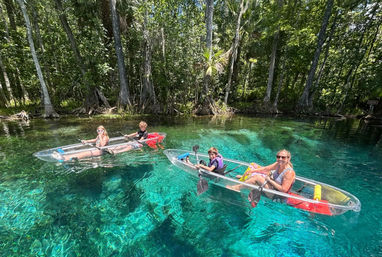 Manatees & Monkeys: Clear Kayak or Paddleboard Tour at Silver Springs image
