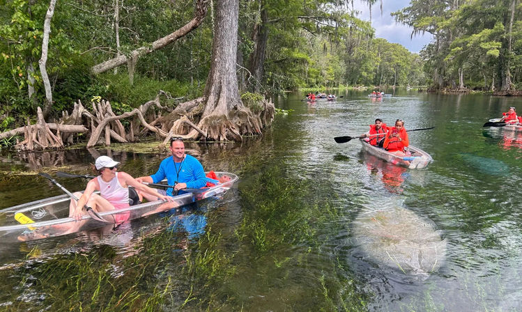 Manatees & Monkeys: Clear Kayak or Paddleboard Tour at Silver Springs image 10