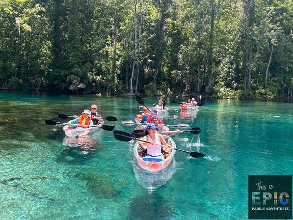 Manatees & Monkeys: Clear Kayak or Paddleboard Tour at Silver Springs image 17