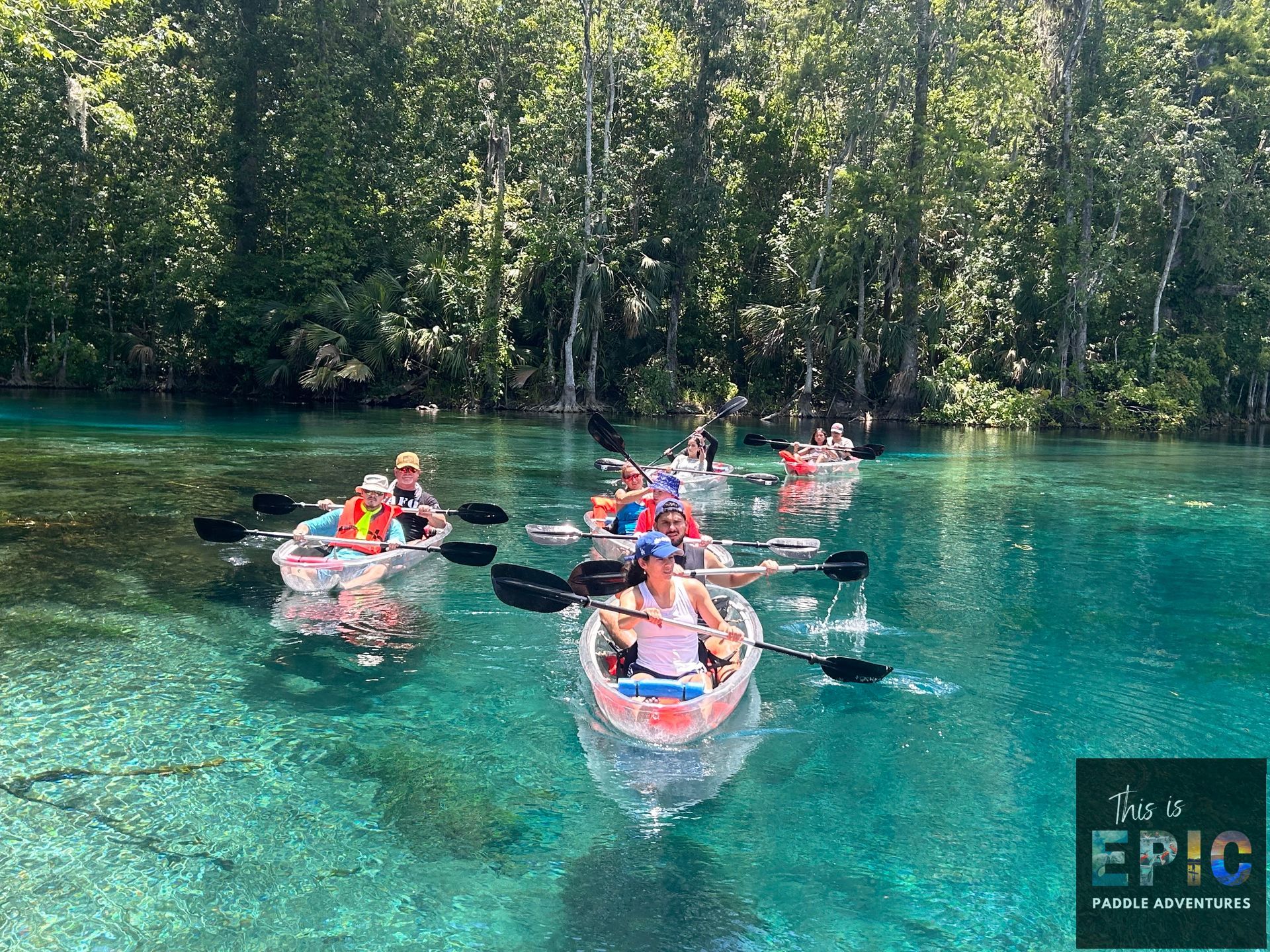 Manatees & Monkeys: Clear Kayak or Paddleboard Tour at Silver Springs image 1