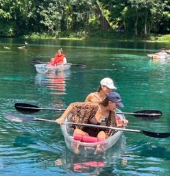 Manatees & Monkeys: Clear Kayak or Paddleboard Tour at Silver Springs image 11