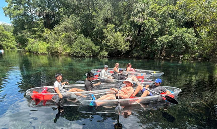 Manatees & Monkeys: Clear Kayak or Paddleboard Tour at Silver Springs image 7