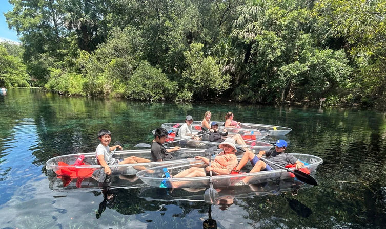 Manatees & Monkeys: Clear Kayak or Paddleboard Tour at Silver Springs image 7