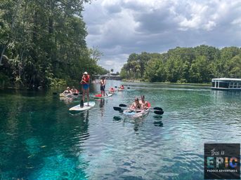 Manatees & Monkeys: Clear Kayak or Paddleboard Tour at Silver Springs image 14