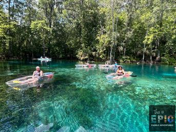 Manatees & Monkeys: Clear Kayak or Paddleboard Tour at Silver Springs image 16