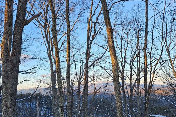 Dream View Lodge: Fire Pit, Hot Tub + Indoor Pool, Theater & Epic Mountain Views image 50