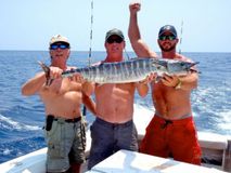 Thumbnail image for Epic Private Fishing Cruise Off Savannah’s Coast (with Marine Life Spotting)
