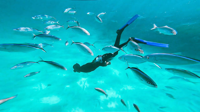 Private 3-Hour Catamaran Tour with Snorkeling, BBQ & Natural Pool Visit image 3