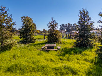 Serene & Relaxing Acacia Farmhouse image 63