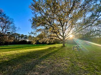 Private Glampsite on a 17-Acre Atlanta Farm image 25