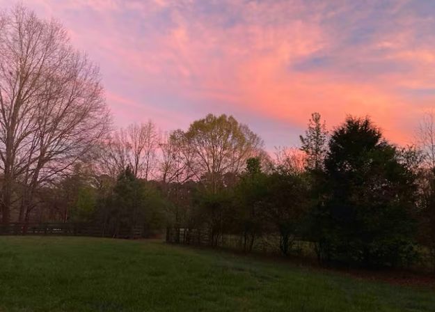 Private Glampsite on a 17-Acre Atlanta Farm image 18