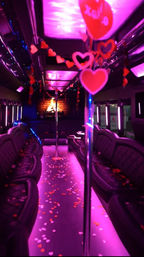 2 Hour Booze Cruise & Night Club Experience  image 2
