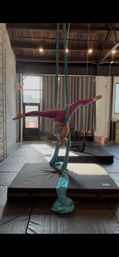 Soar & Celebrate: The Ultimate Party in the Air - Aerial and Pole Parties image 7