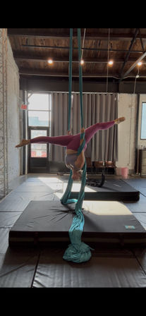 Soar & Celebrate: The Ultimate Party in the Air - Aerial and Pole Parties image 7
