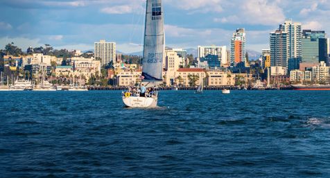 Midday Sailing Adventure: Best Wind, Wildlife & Views on a Catalina 400 image 11
