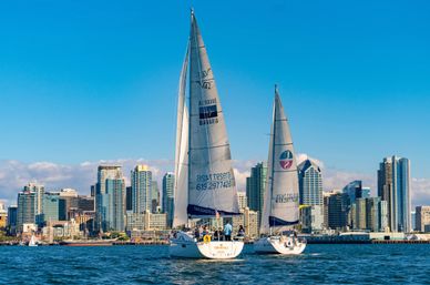 Midday Sailing Adventure: Best Wind, Wildlife & Views on a Catalina 400 image 2